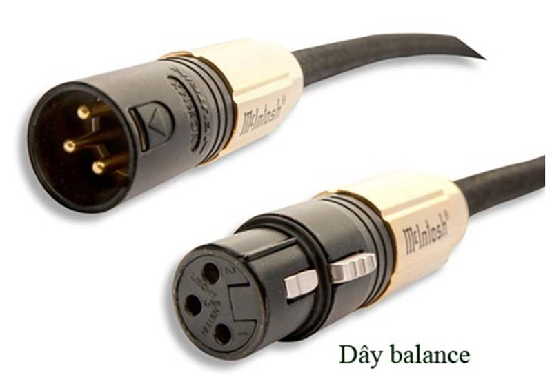 Cáp balanced là gì? Nên chọn XLR hay TRS